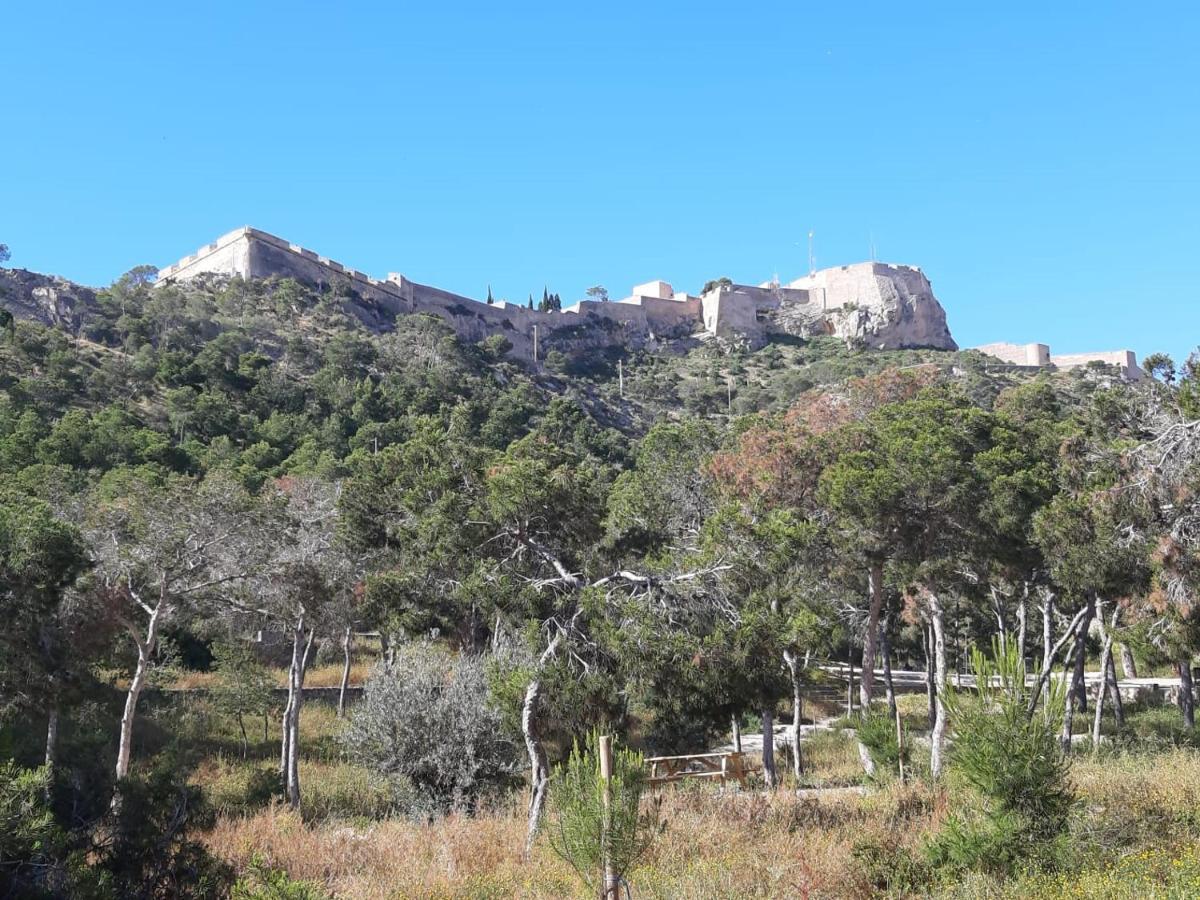 Apartamento Grande-Centro Barrio Playa Αλικάντε Εξωτερικό φωτογραφία